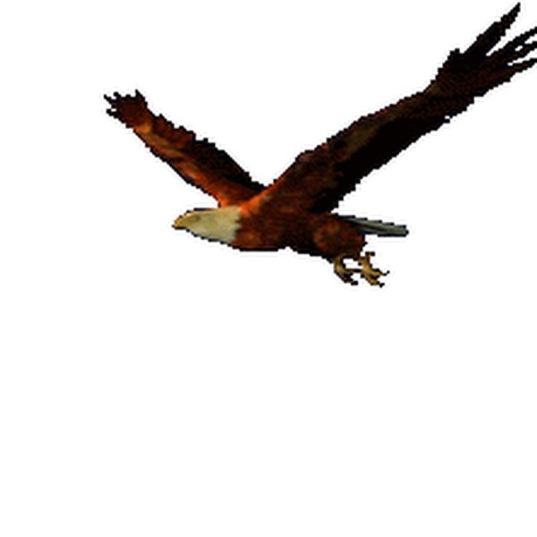 Орел гиф на прозрачном фоне