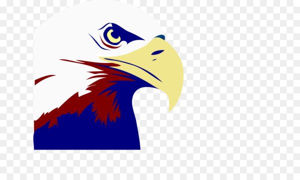 Филиппинский Орел рисунок