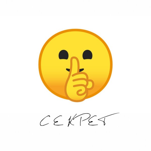 Смайлик ТС