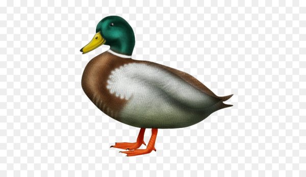 Утка ЭМОДЖИ