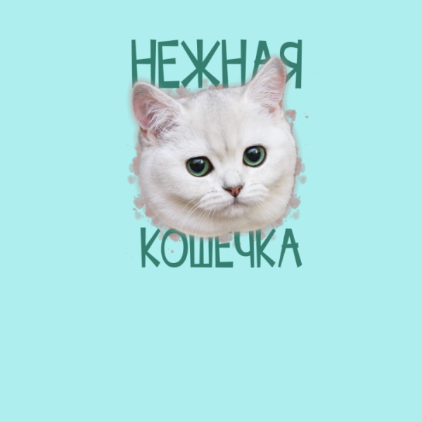 Кошечки надписи