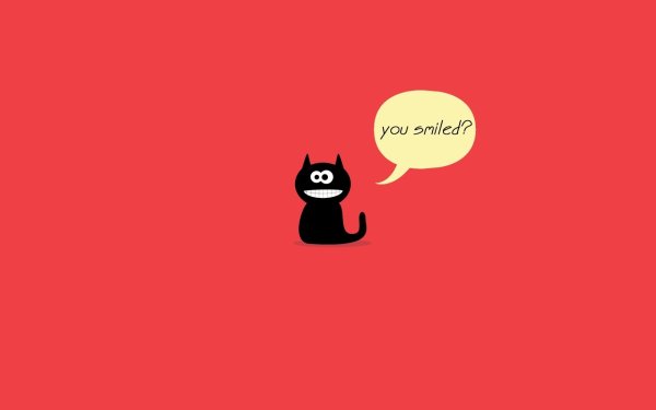 Коты Минимализм