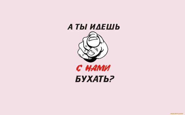 Смешные обои с надписями на рабочий стол