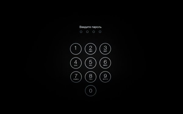 Ввод пароля