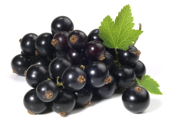 Смородина ягода