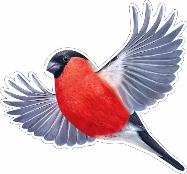 Летающие Снегири