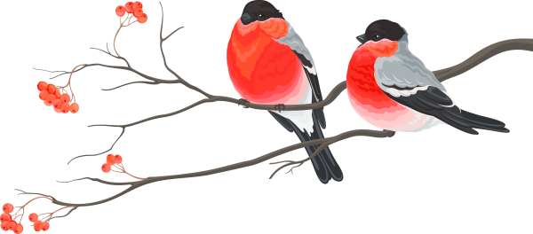 Снегири на ветке