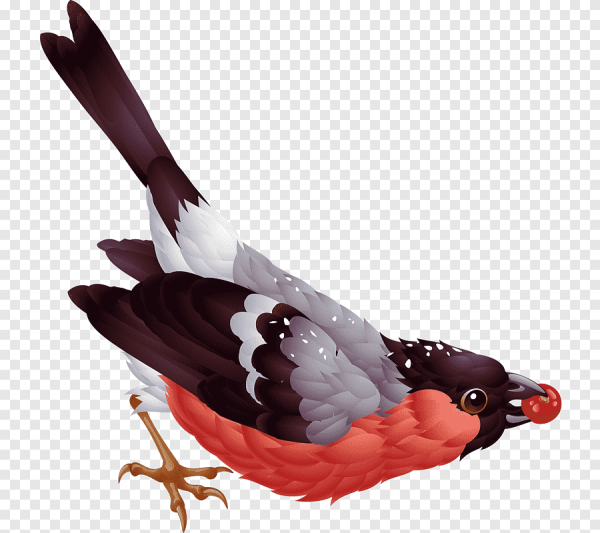 Зимующие птицы на прозрачном фоне