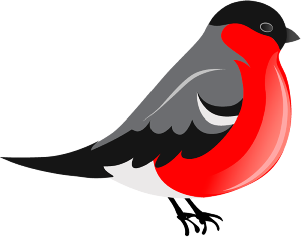 Снегирь шаблон