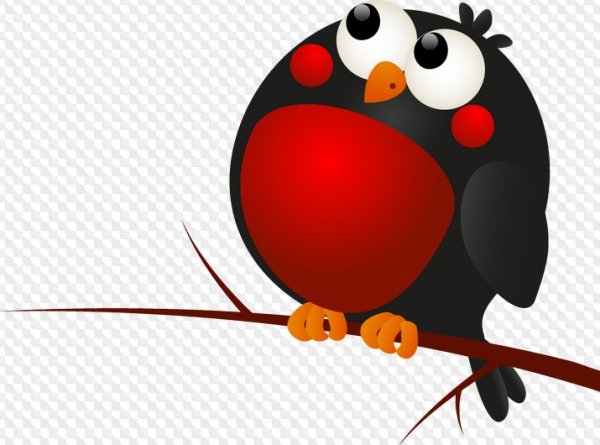 Снегирь клипарт