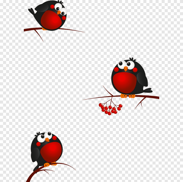 Снегири на ветке