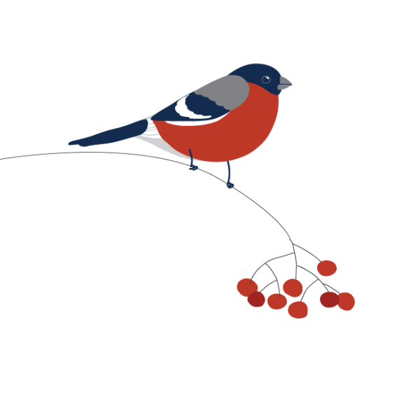 Снегирь для детей