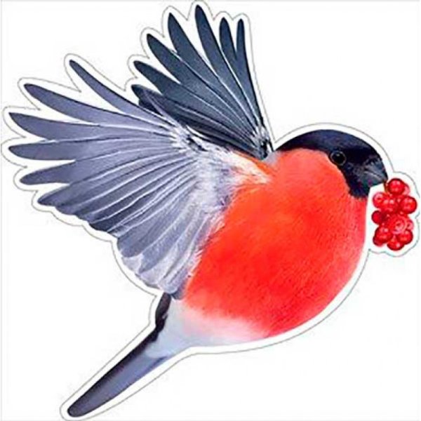 Снегирь для детей