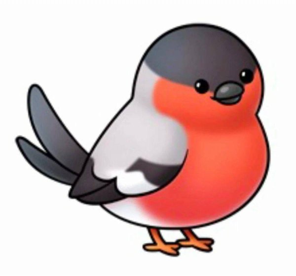 Снегирь рисунок