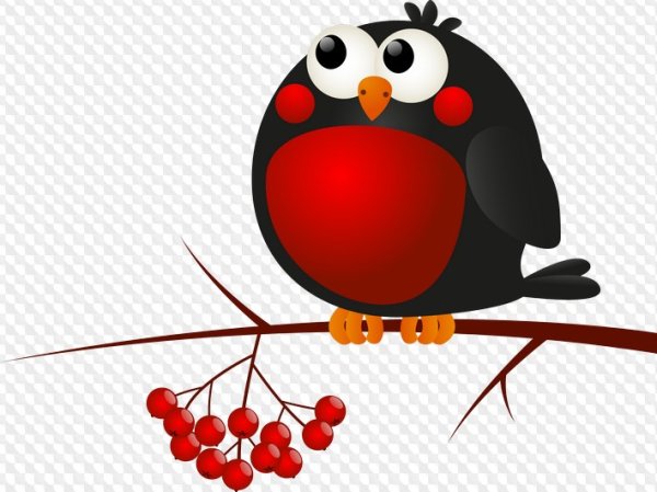 Снегирь на прозрачном фоне