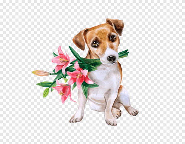 Джек-Рассел-терьер щенок с цветами