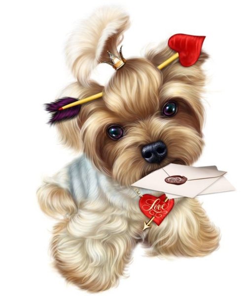 Йоркширский терьер вектор