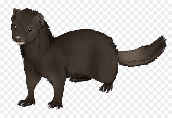 Норка мультяшная