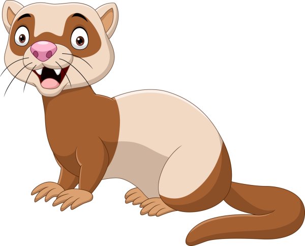 Хорек мультяшка