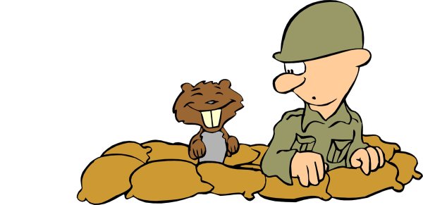 Мультяшные солдаты