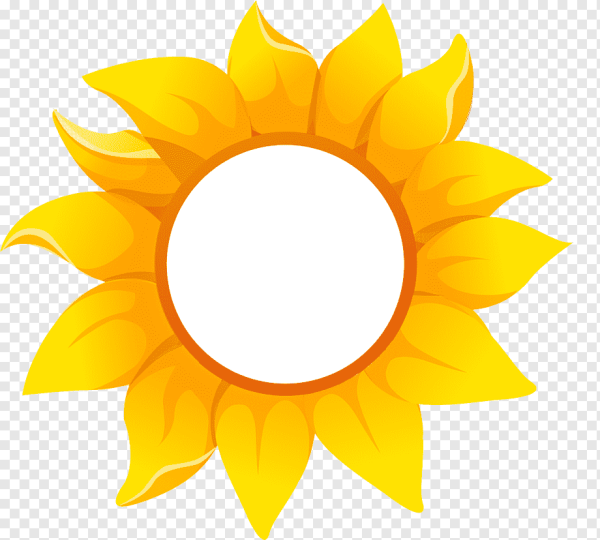 Подсолнух без серединки