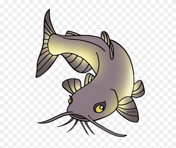 Сом для детей