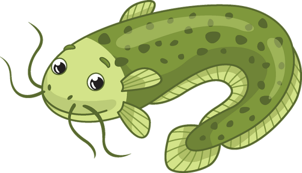 Мультяшный рыба сом