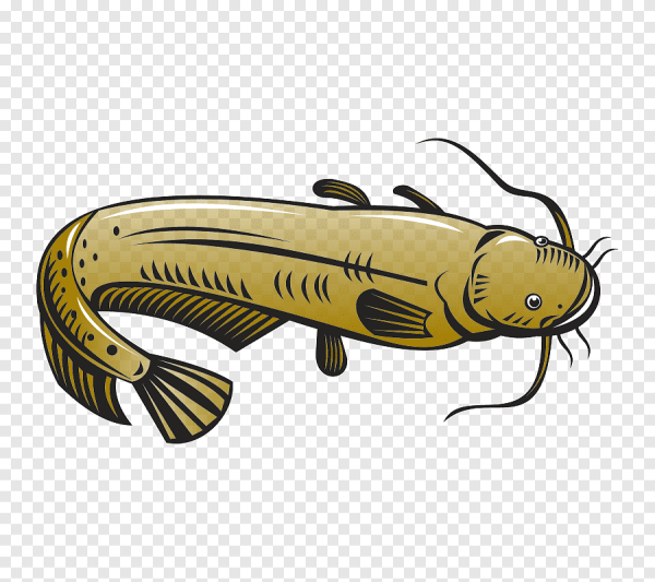 Сом мультяшный