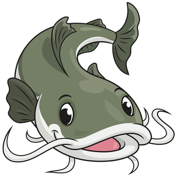 Сом рисунок