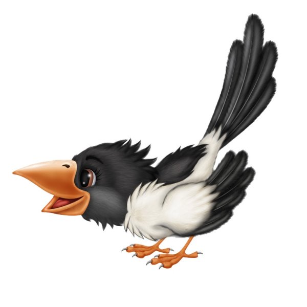 Сорока мультяшная