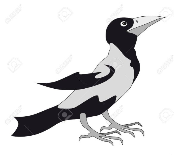 Тень сорока для детей