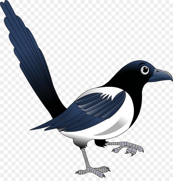 Сороки мультяшные