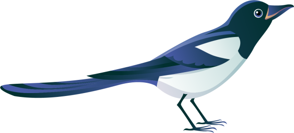 Сорока рисунок для детей