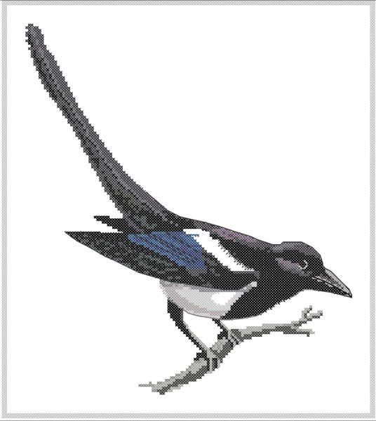 Сорока для детей