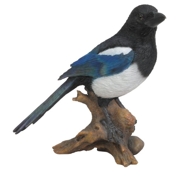 Сорока картинка для детей