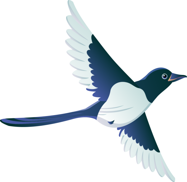 Сорока клипарт