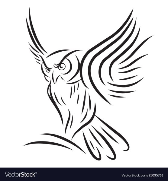 Контур летящей Совы