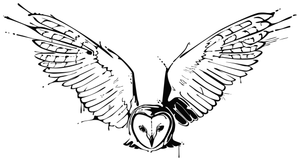 Крылья Совы контур