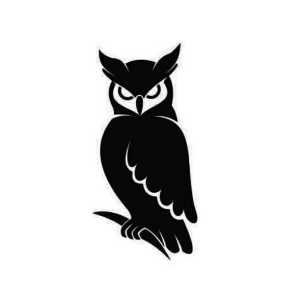 Очертания Совы для логотипа