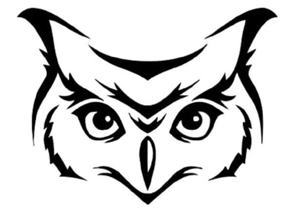 Сова вектор