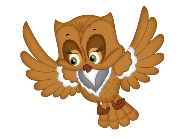 Сова для детей