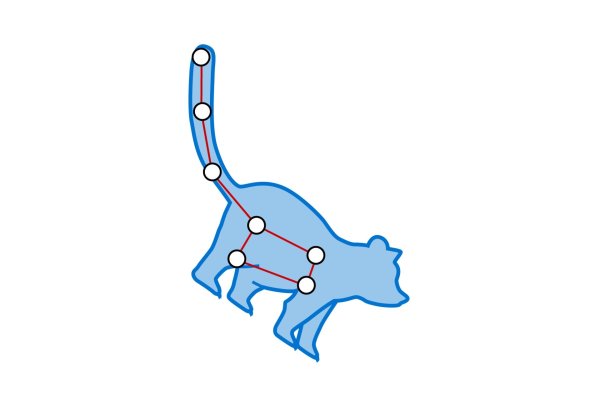 Созвездия на прозрачном фоне для детей