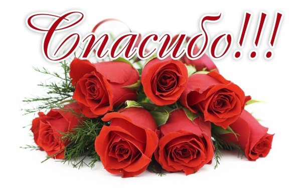 Спасибо розы