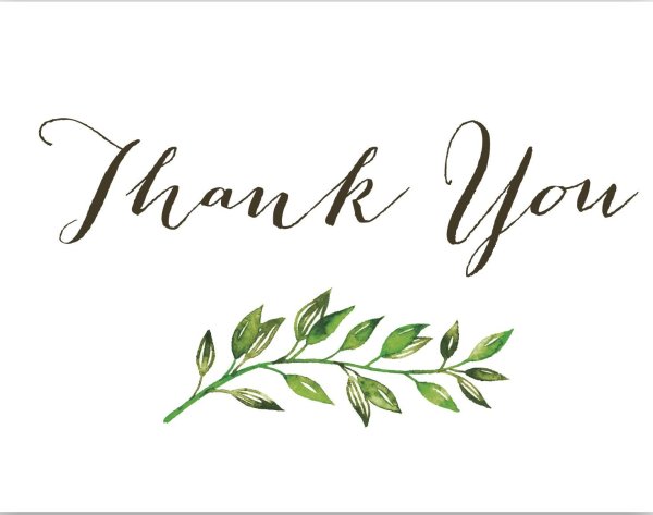 Надпись thank you на прозрачном фоне