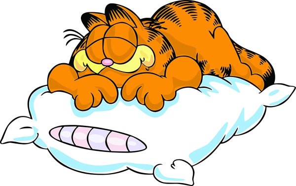 Мультяшка спит