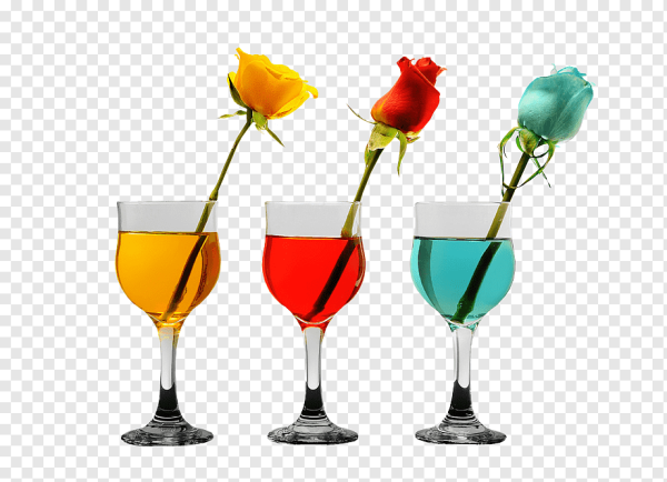 Цветы в бокале на прозрачном фоне