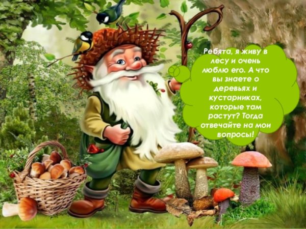 Леший старичок Лесовичок