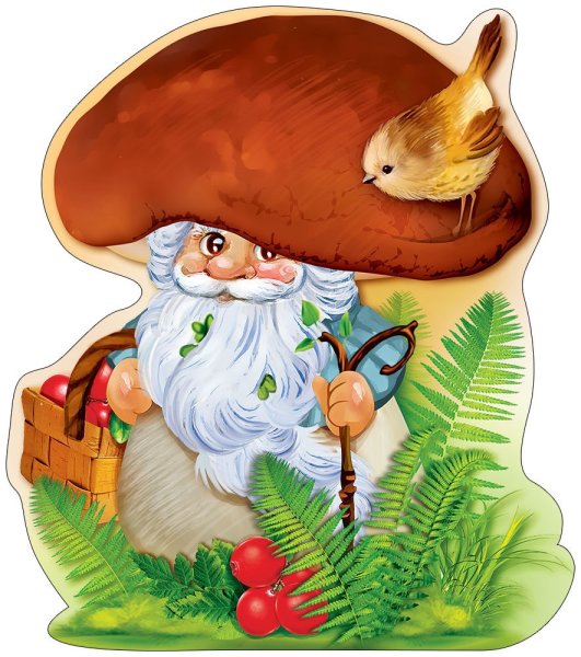 Гриб Лесовичок Боровичок