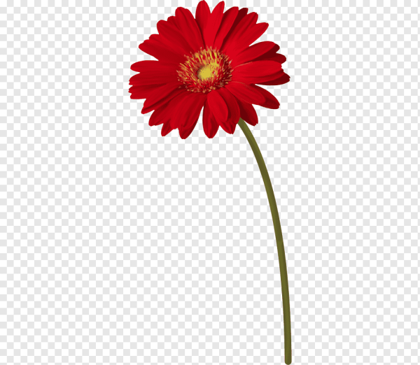 Стебель цветка