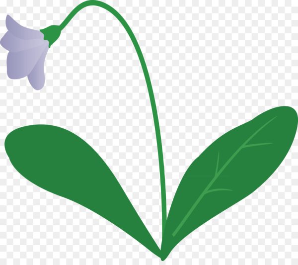 Стебель с листьями